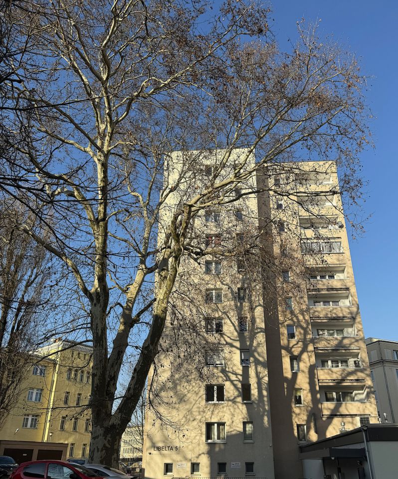 Mieszkanie 3-pokojowe Poznań Centrum, ul. Karola Libelta. Zdjęcie 12