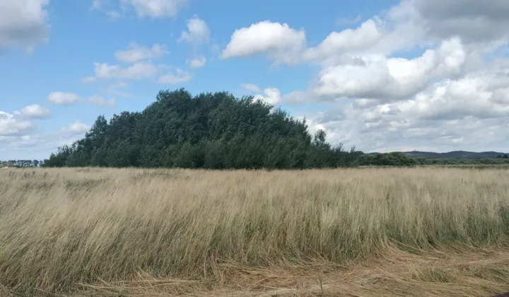 Działka budowlana Reda, ul. Rolnicza