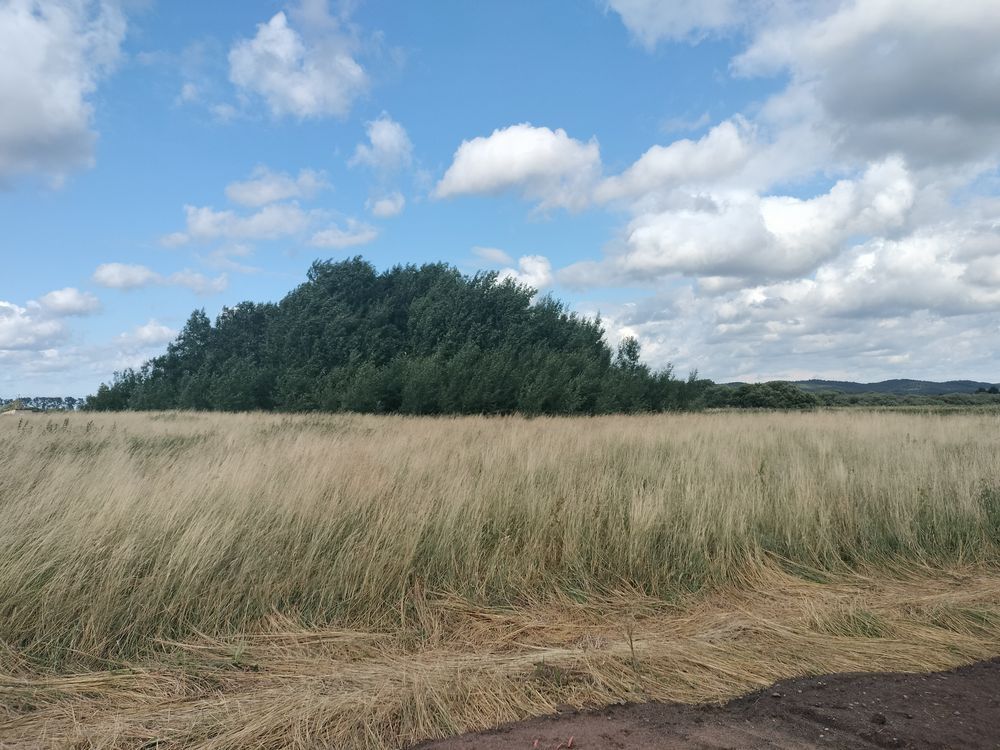 Działka budowlana Reda, ul. Rolnicza. Zdjęcie 1