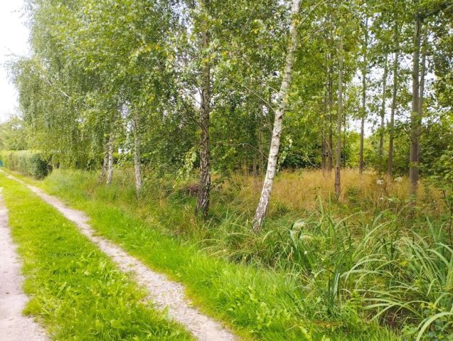 Działka rekreacyjna Kielce, ul. Wschodnia. Zdjęcie 1