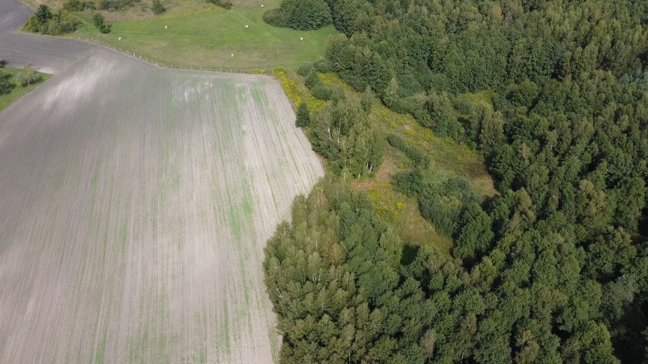 Działka rolna Wielkopole. Zdjęcie 11