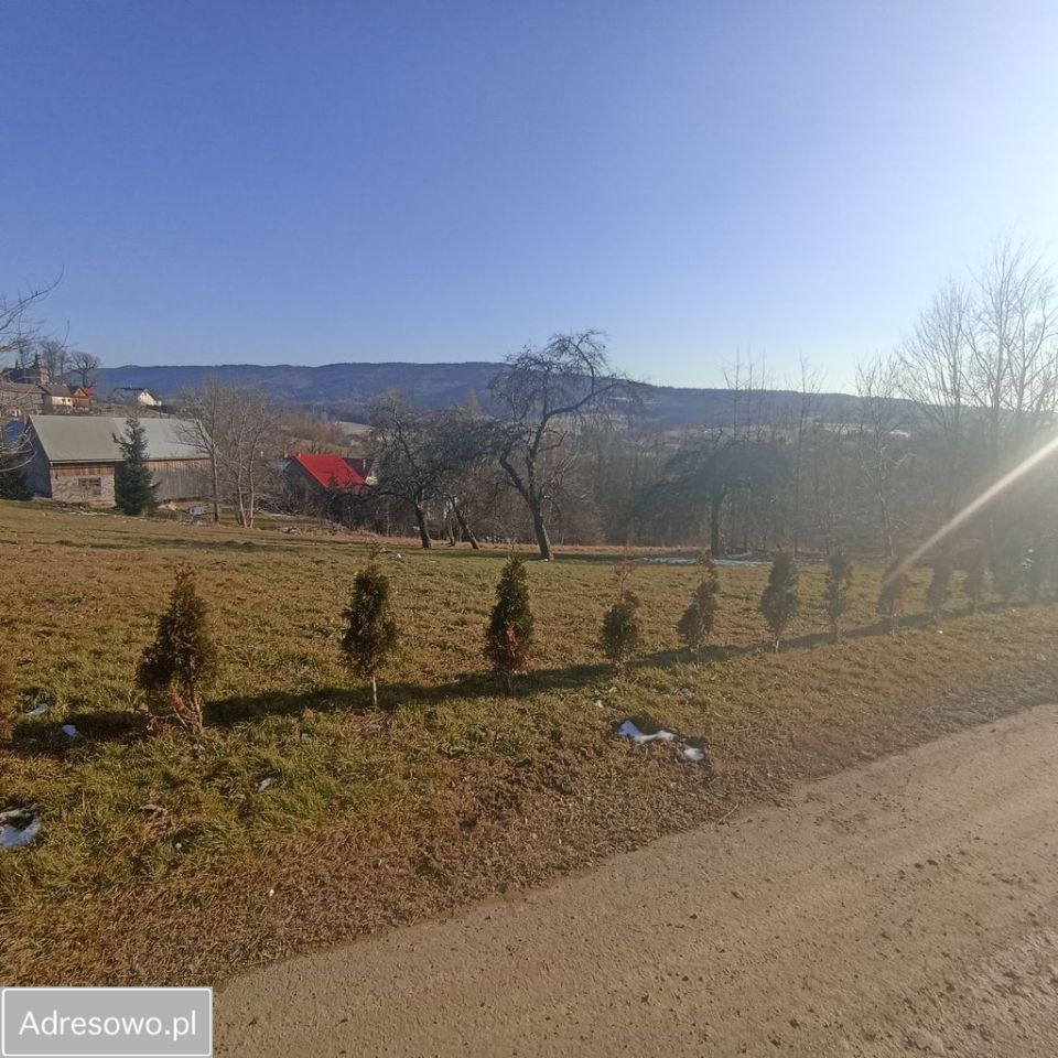 Działka budowlana Krzeczów. Zdjęcie 6