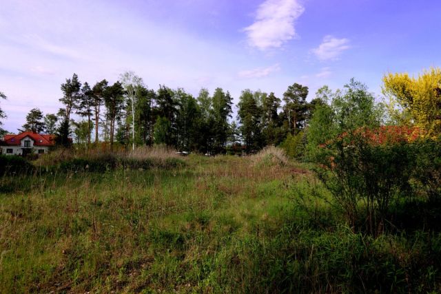 Działka budowlana Otwock, ul. Bagnista. Zdjęcie 5