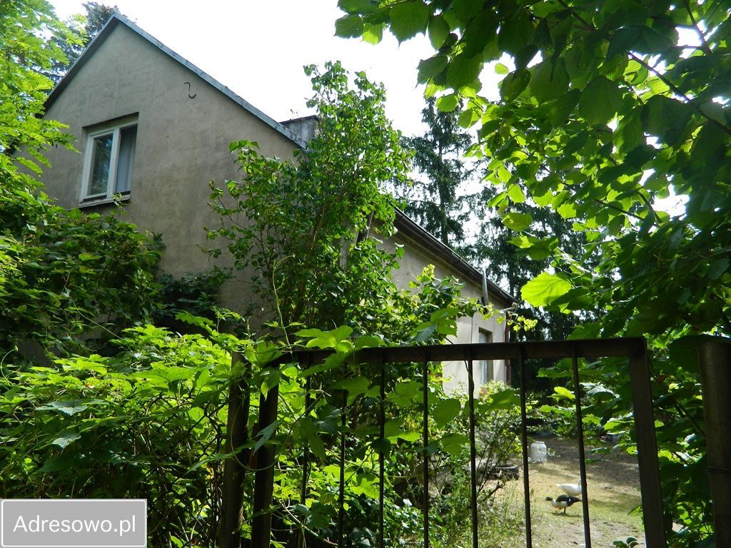 Działka inwestycyjna Mława, ul. Ceglana