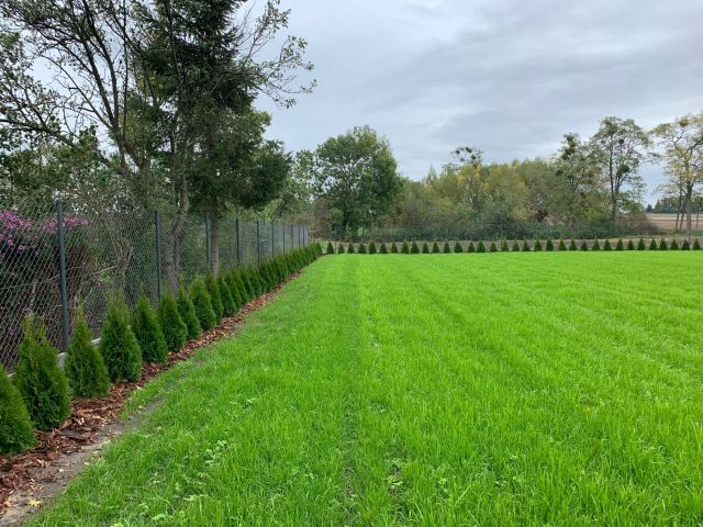 Działka budowlana Winna. Zdjęcie 1