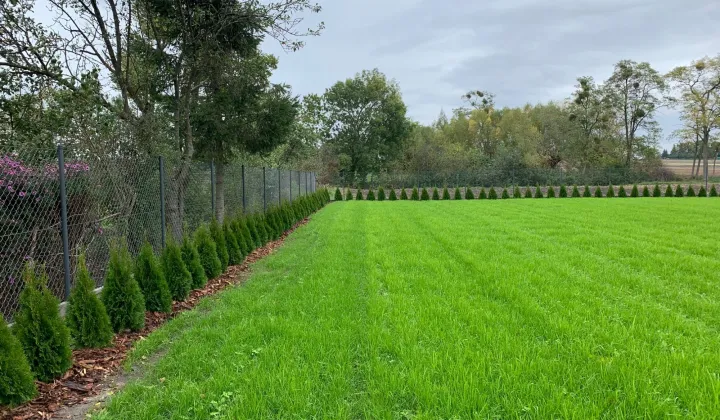 Działka budowlana Winna