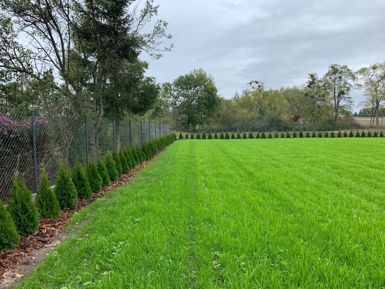 Działka budowlana Winna. Zdjęcie 1