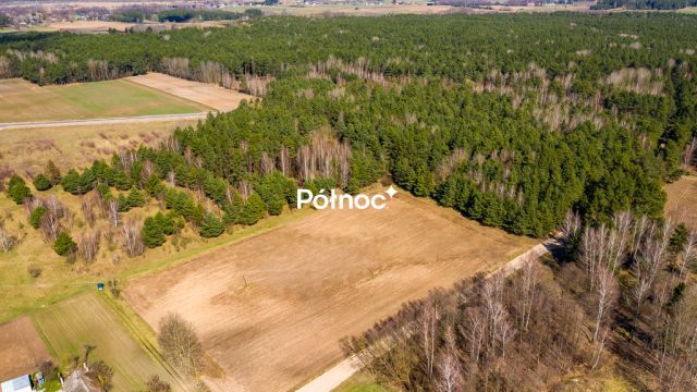 Działka rolna Rogowo. Zdjęcie 7