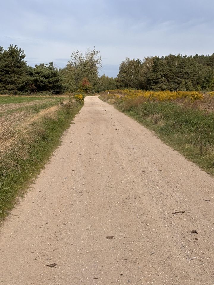 Działka budowlana Wyszków, Szmaragdowa. Zdjęcie 4