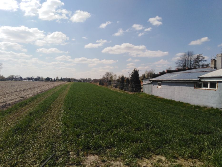 Działka rolno-budowlana Święcice, ul. Zaborowska. Zdjęcie 4