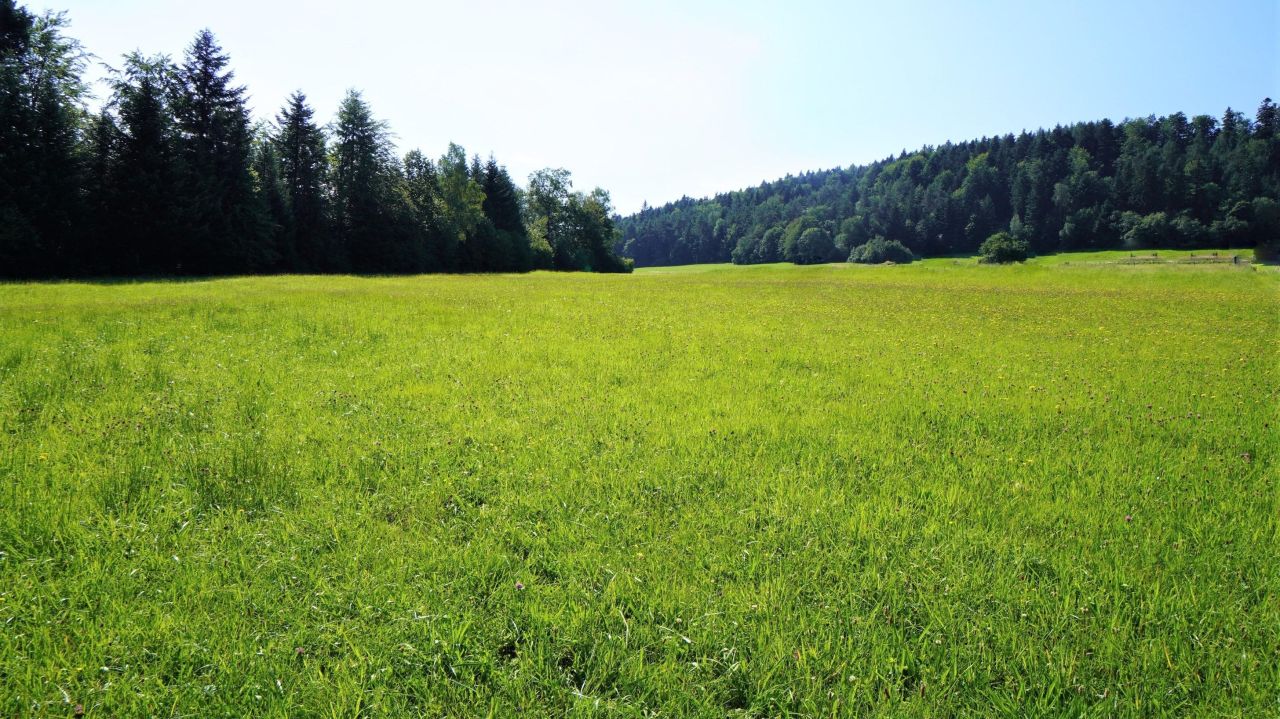 Działka rolno-budowlana Klimkówka. Zdjęcie 6