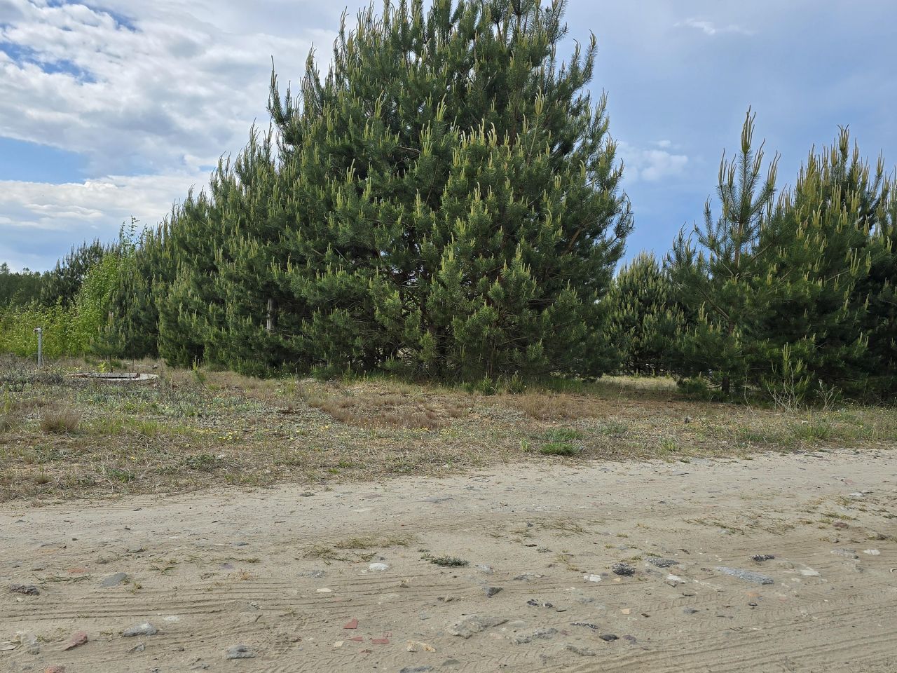 Działka budowlana Brzozowe Błota. Zdjęcie 5