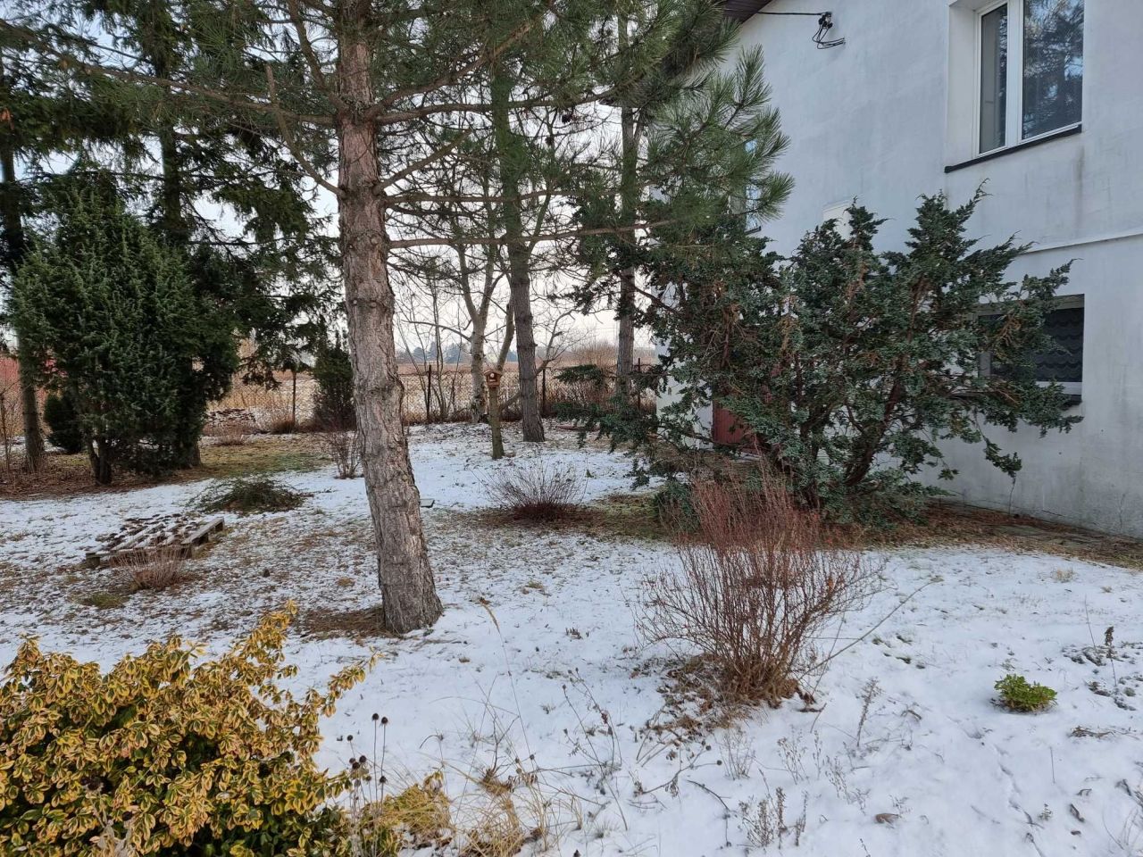 dom wolnostojący, 3 pokoje Opacz-Kolonia. Zdjęcie 4