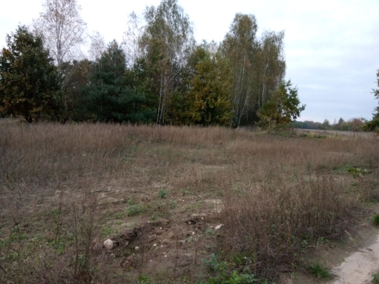 Działka rolno-budowlana Ławeczko Stare. Zdjęcie 13