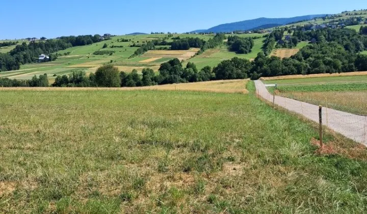 Działka budowlana Siołkowa