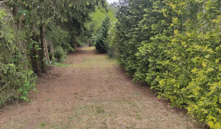 Działka rolno-budowlana Skierniewice, ul. Kasztanowa