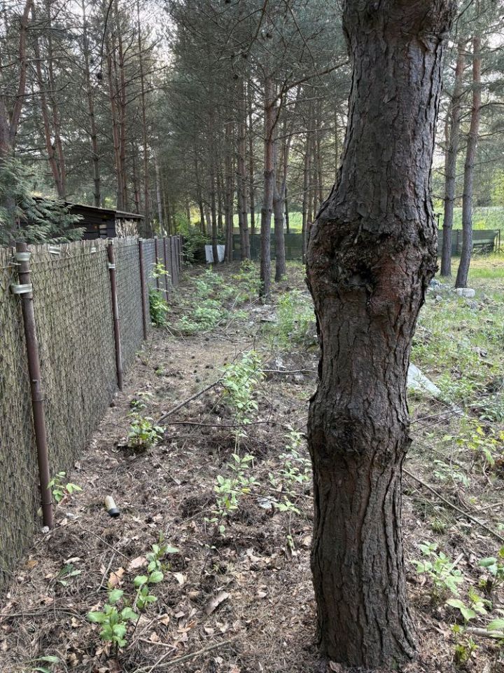 Działka rekreacyjna Poddębie. Zdjęcie 2