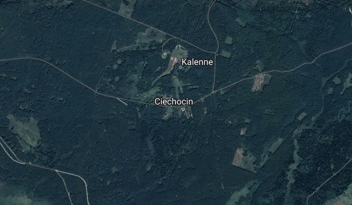 Działka leśna Ciechocin