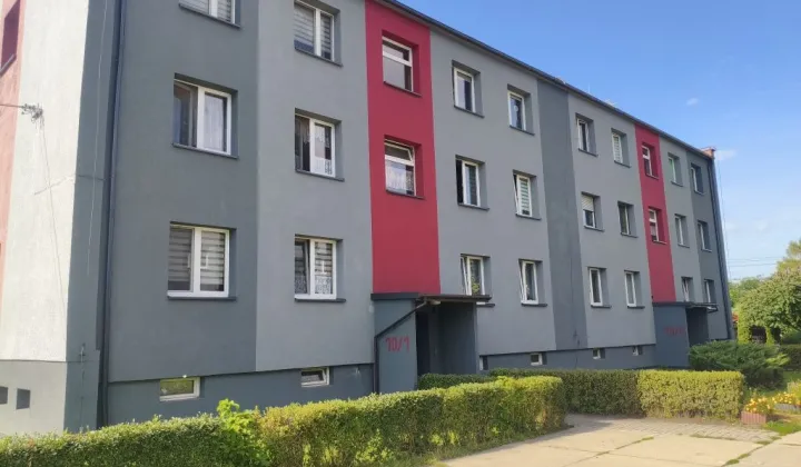 Mieszkanie 1-pokojowe Czekanów