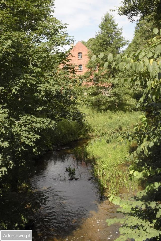 Działka Budwiecie. Zdjęcie 3