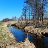 Działka rolno-budowlana Aleksandrów k. Wąsosza. Zdjęcie 2