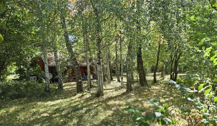 Działka budowlana Wierzbica, ul. Partyzantów