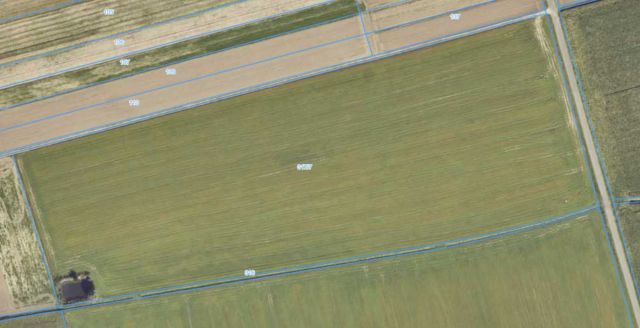 Działka rolna Leszcze. Zdjęcie 1