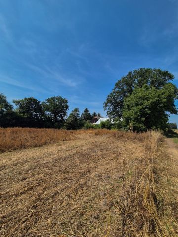 Działka siedliskowa Nowa Wieś Złotoryjska. Zdjęcie 22