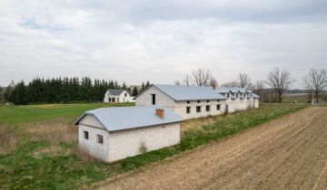 Lokal Pełczanka