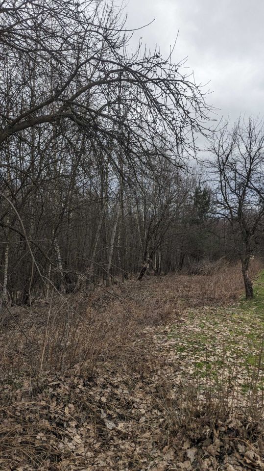 Działka Stary Wiśnicz. Zdjęcie 3