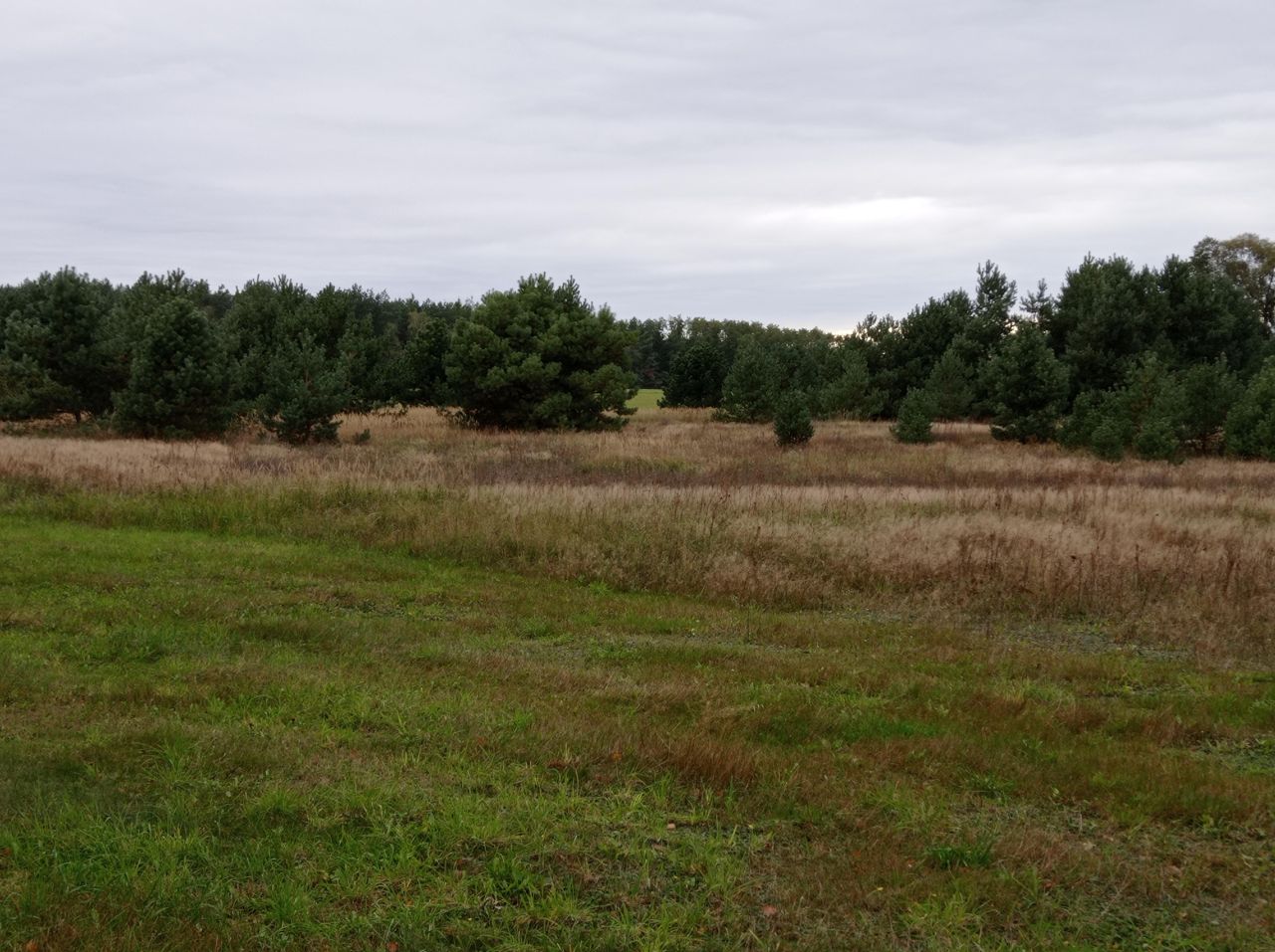 Działka rolno-budowlana Koźle. Zdjęcie 2