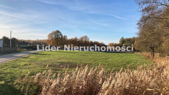 Działka Prusinowice. Zdjęcie 5