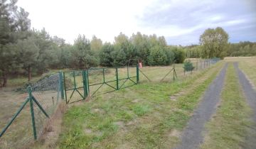 Działka rekreacyjna Kociołki-Las