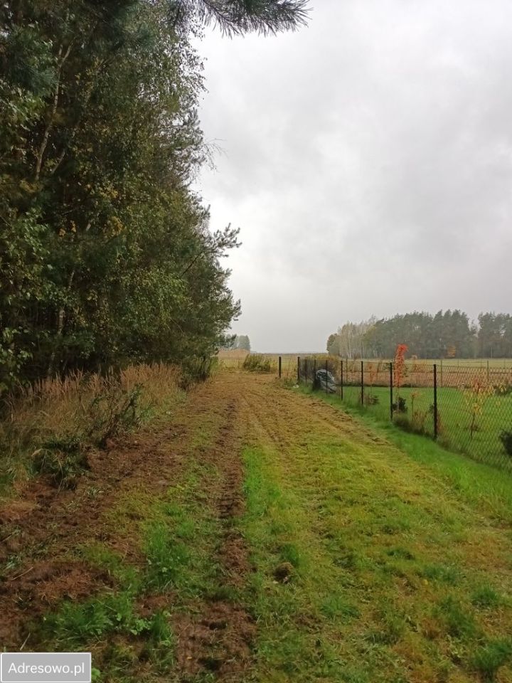 Działka budowlana Borzechów-Kolonia. Zdjęcie 5