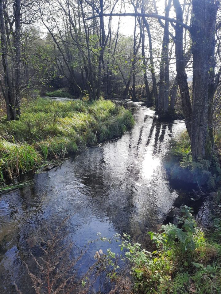 Działka inwestycyjna Luboń. Zdjęcie 7