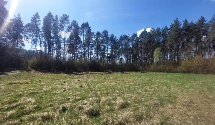 Działka budowlana Obrowo, ul. Sarnia