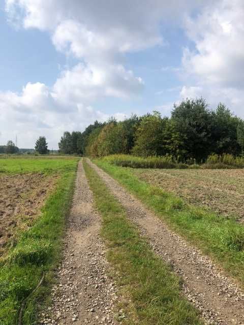 Działka budowlana Przecław, ul. Leśna. Zdjęcie 3