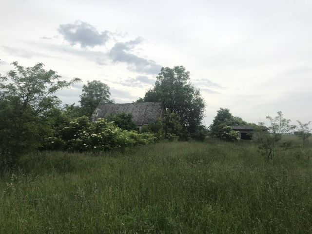 Działka siedliskowa Bulkowo. Zdjęcie 1