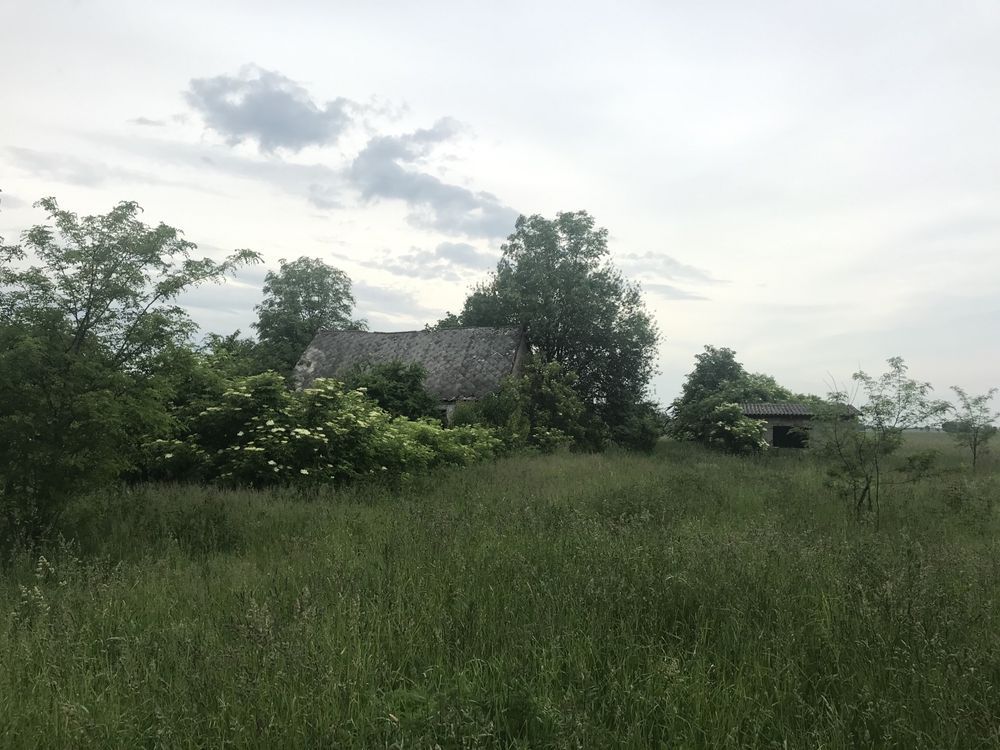 Działka siedliskowa Bulkowo. Zdjęcie 1