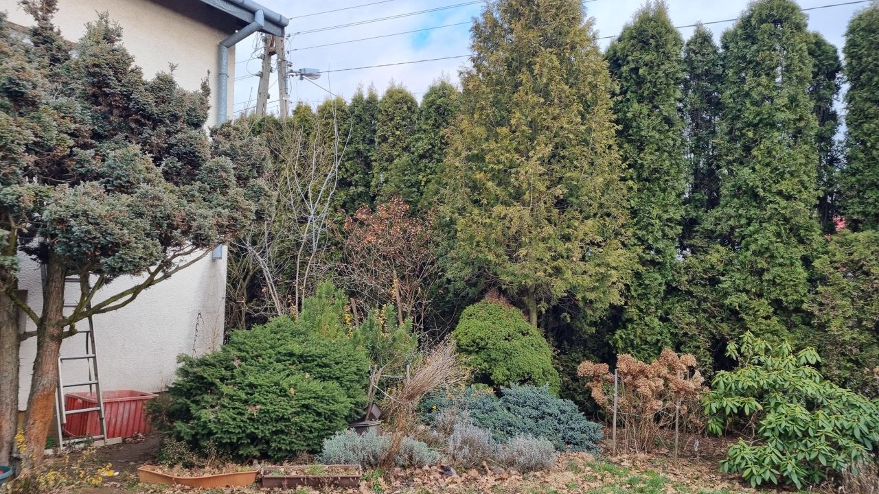 dom wolnostojący, 4 pokoje Janówek Pierwszy, ul. Zacisze. Zdjęcie 6