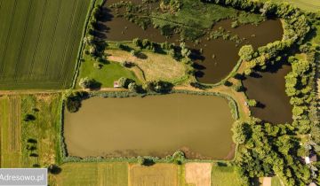Działka rekreacyjna Czernichów