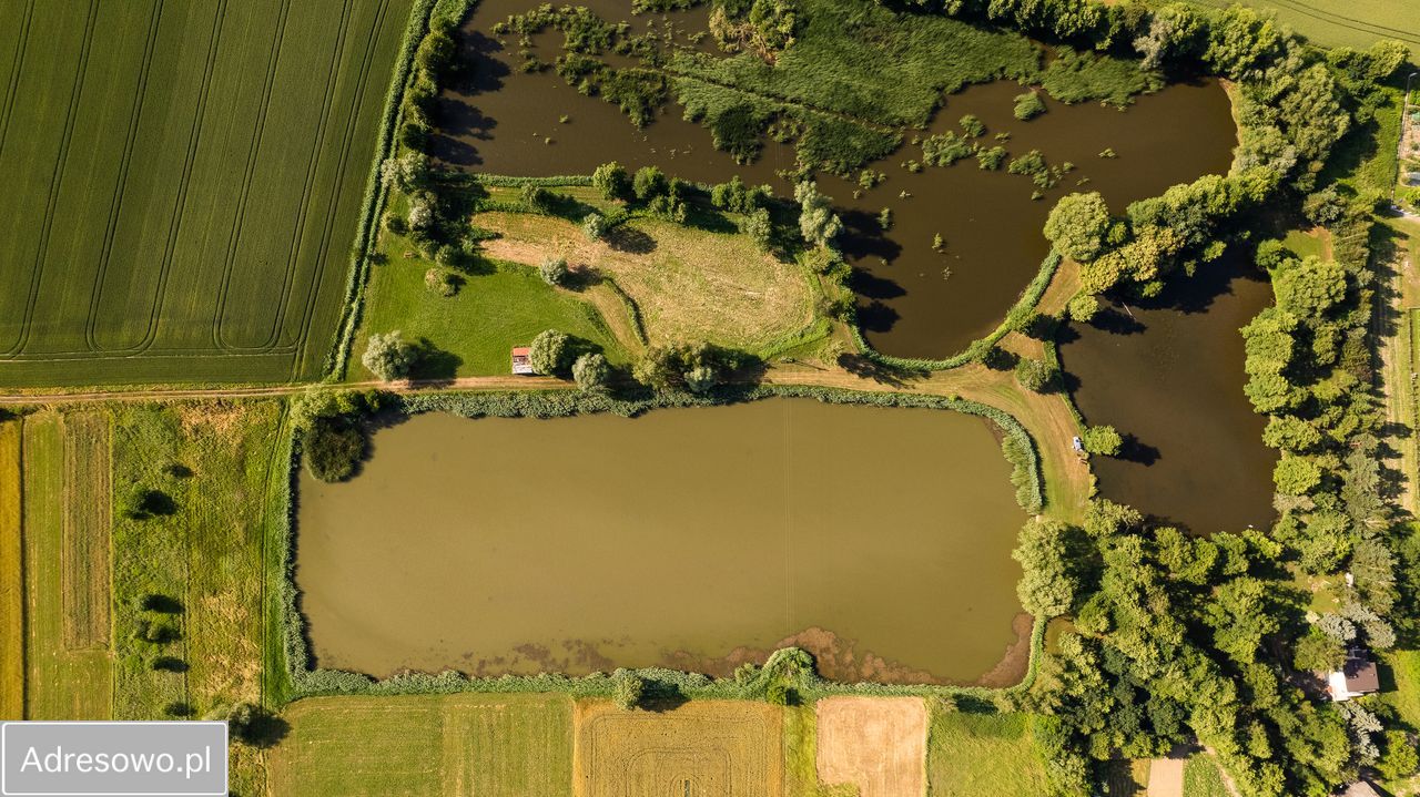 Działka rekreacyjna Czernichów. Zdjęcie 2