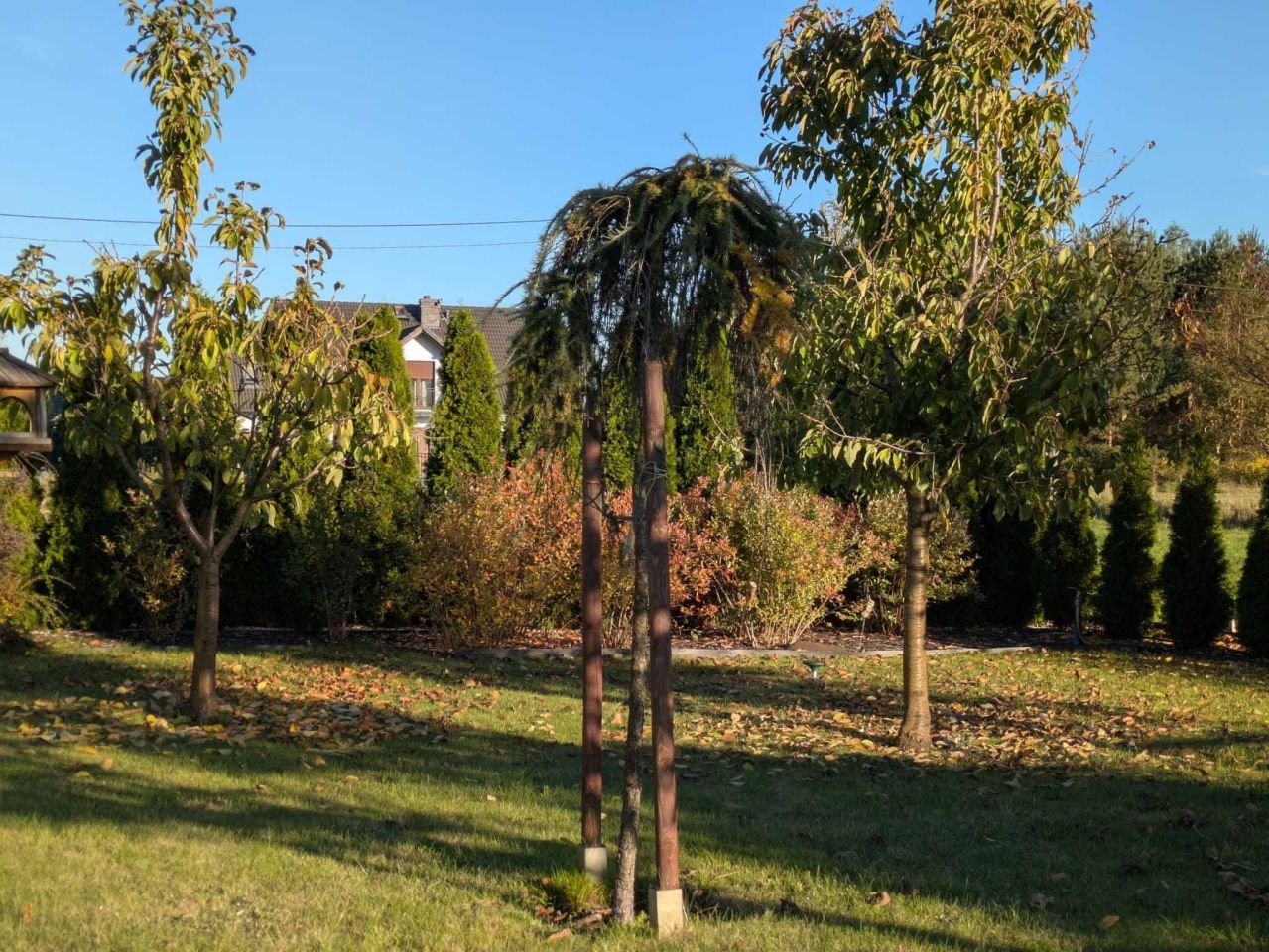 dom wolnostojący Krzekotówek. Zdjęcie 8