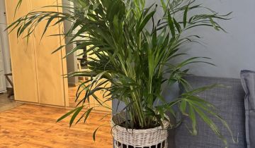 Mieszkanie 2-pokojowe Ząbki, ul. gen. Władysława Sikorskiego