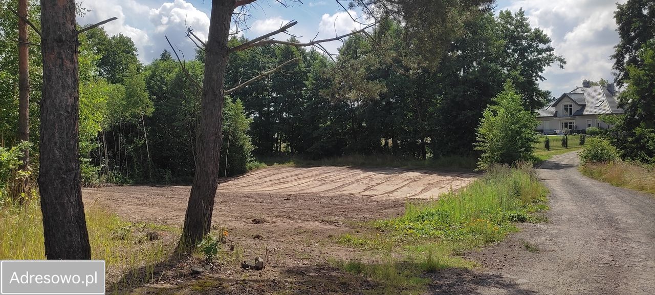 Działka rolno-budowlana Rumin. Zdjęcie 6