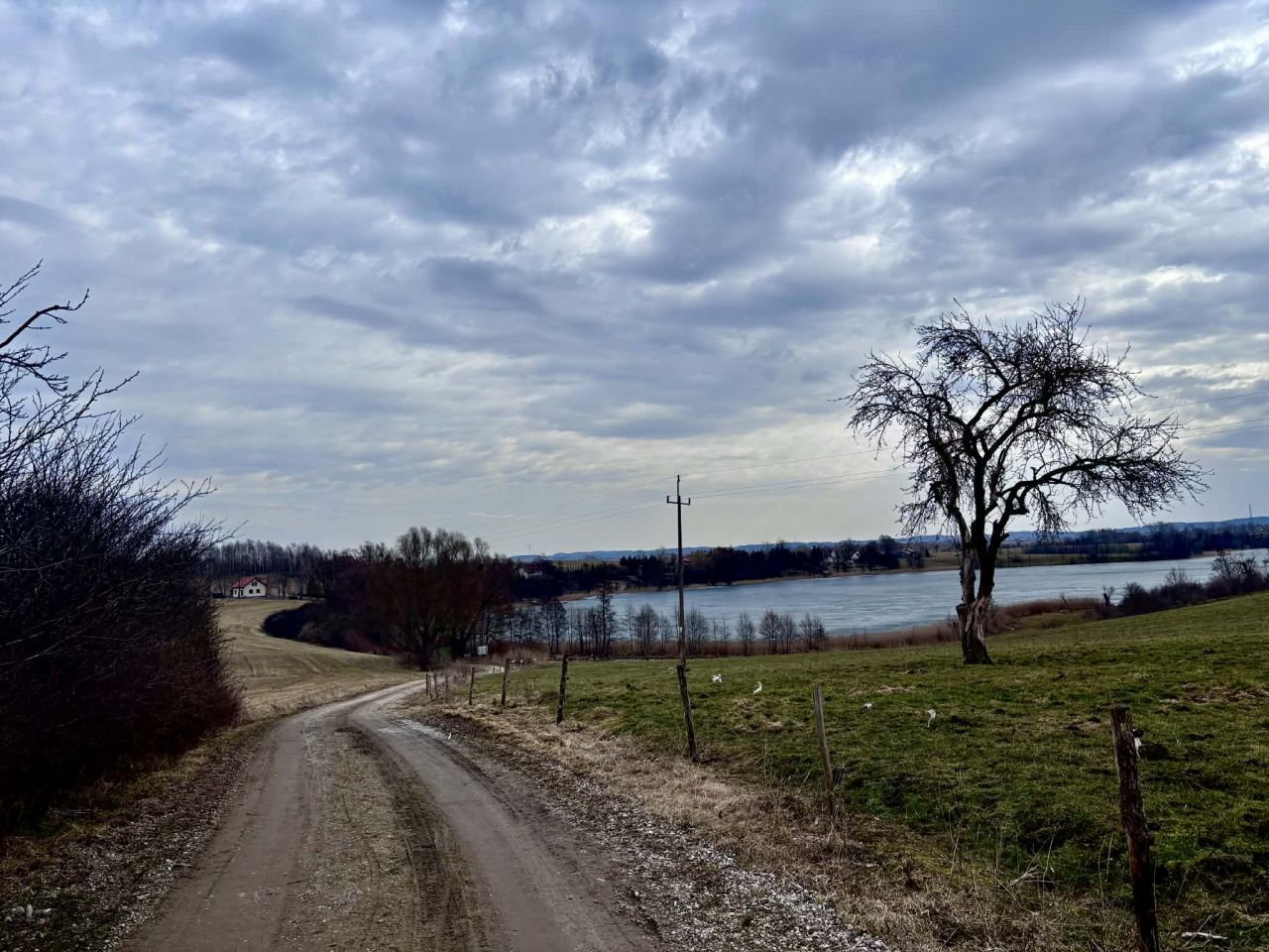 Działka budowlana Wielochowo. Zdjęcie 1