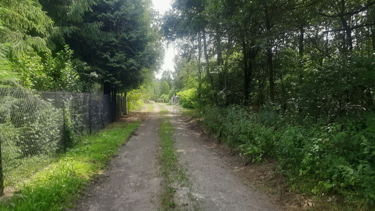 Działka rolno-budowlana Rokitnica. Zdjęcie 2