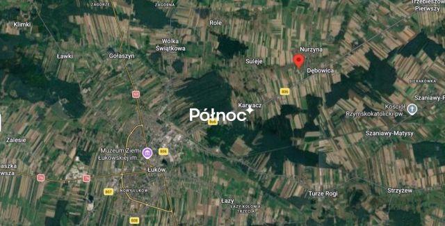 dom wolnostojący, 2 pokoje Dębowica. Zdjęcie 28