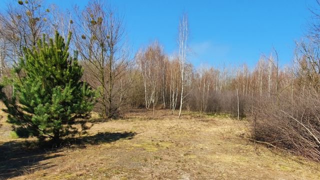 Działka budowlana Radom, ul. Władysława Orkana. Zdjęcie 1