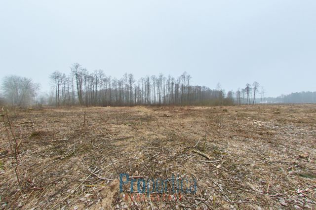 Działka budowlana Opaleniec. Zdjęcie 11